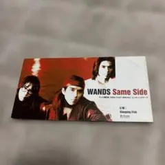 WANDS Same Side / Sleeping Fish