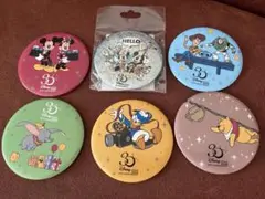 美品ディズニーキャラクター 30周年記念 缶バッジ 6個セット