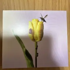 あいみょん ハート