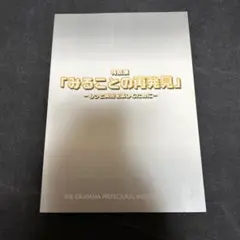 図録 特別展「みることの再発見」 岡山県立美術館 池大雅 長沢蘆雪 ほか
