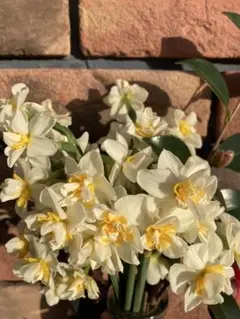 ポラリッチハッチ様専用ページ