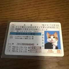 ゆ*ん様 平成レトロ なめ猫 【ゴールド免許証】 - メルカリ