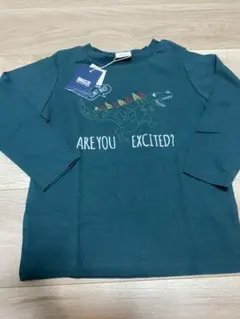 新品　未使用　ブリーズ　恐竜　長袖　tシャツ　ロンT 110