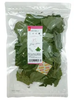 Item thumbnail for item 3ab744d9-4348-414b-8b8e-4e435abe861b