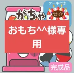 おもち^^様専用