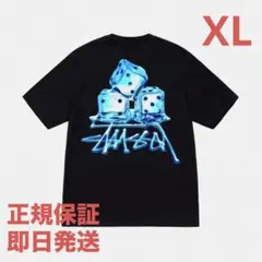❗️期間限定SALE❗️ステューシー メルツ Tシャツ ブラックXLのサムネイル