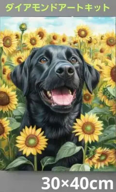 黒いラブラドールレトリバー　イラストダイヤモンドアートキット 30×40cm