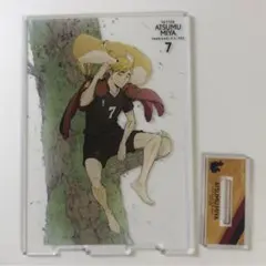 ハイキュー!! 宮侑 アクリルスタンド