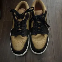 Nike ベージュ/ブラウン スニーカー