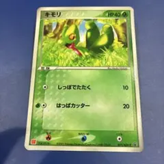 2026年最新】003/ADV-P キモリの人気アイテム - メルカリ