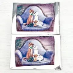 【匿名配送】 ディズニーストア ポケットティッシュケース おしゃれキャット