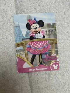 ディズニー　ミニー　パルパルーザミニー@ファンダーランド　ミニファン