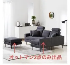 ウィルクハーン 「Occo 222/32」 ラウンジチェア 約16万 - メルカリ