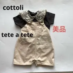 美品cottoli襟Tシャツ101匹わんちゃん 襟付きトップス 80コトリ衿つき