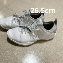 Item thumbnail for item 5b2cb590-4ed1-4626-9d1d-406a3abe4a1f