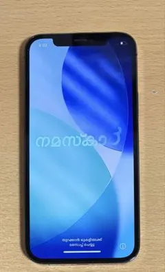 iPhone12 Pro 256GB バッテリー100% SIMフリー