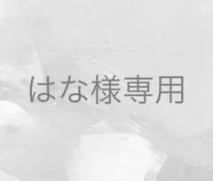 はな様 リクエスト 2点 まとめ商品