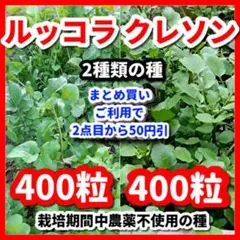 ルッコラ＆クレソンの種セット⭕️非遺伝子組み換えの種