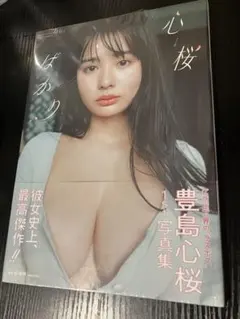 Item thumbnail for item 92b28422-d8ff-47d2-a766-4b8dce360ae6