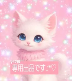 y17⭐️お返事遅くなる場合があります。様 リクエスト 2点 まとめ商品