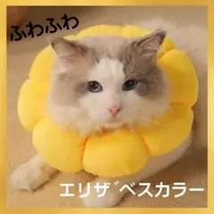 Item thumbnail for item f74f7c8a-5d51-4a08-aec8-ad7ada61ed49