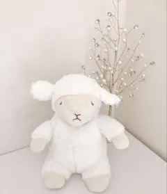 misamisa05様 リクエスト 2点 まとめ商品