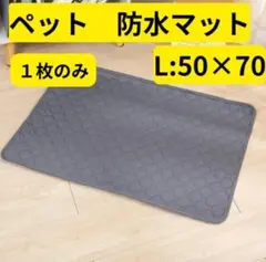 Item thumbnail for item 8579ed2e-7a72-49a8-abd2-11ebeb7174f4