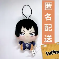 ハイキュー　ちょぴぬいぷち　影山飛雄　ぬいぐるみ　マスコット　キーホルダー