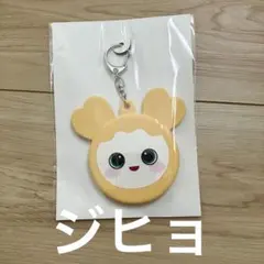 TWICE ベイビーラブリー缶バッジケースキーホルダー チェヨン チェン