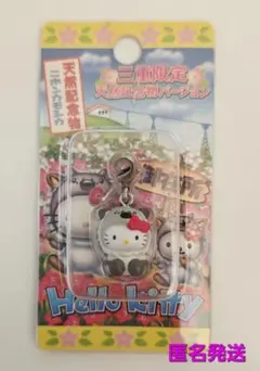 レア◇ハローキティ 秋田限定 ババヘラアイスver. ファスナー