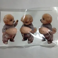 たけ様 リクエスト 3点 まとめ商品