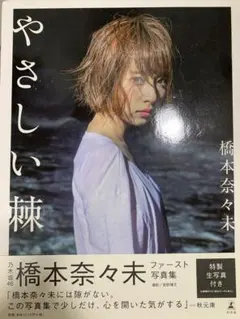 Item thumbnail for item 100d9caf-53ff-48b5-8940-7d61094dfb1b