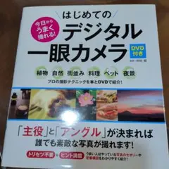 Item thumbnail for item be83bcb2-208d-4483-aa9d-1c69cdf72625