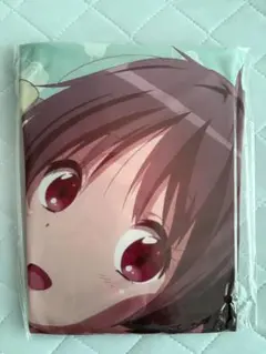 中二病でも恋がしたい クッションカバー
