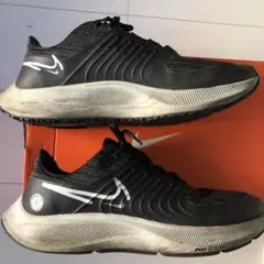 Item thumbnail for item db8cd924-5370-4883-913e-6265f9b06368