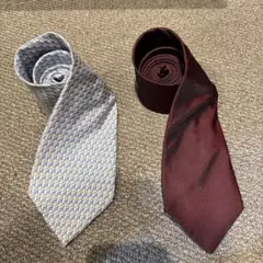 Salvatore Ferragamo フェラガモ　小紋柄ネクタイ 2本