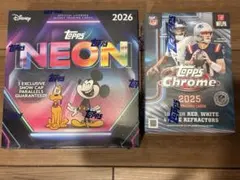 ☆まとめ買いでお値引き☆002☆新品未使用激レアダーツライブカード