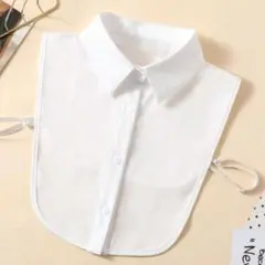 Item thumbnail for item cfab3328-aa91-4057-bcfe-bb684b2d0df5