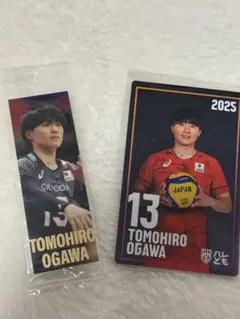 小川智大　アクスタ、タオル　日本代表フォンタブストラップ 小川智大 アクスタ、タオル 日本代表フォンタブストラップ