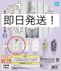 すきまハムスター　マスコットフィギュア2 ロボロフスキー