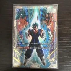 2026年最新】ベジット SCR fb02-139の人気アイテム - メルカリ