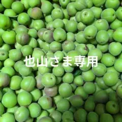 也山さま専用　信州産　農薬不使用　小梅約3.3g