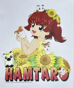 絶盤☆とんがり帽子のメモル Tシャツ 当時 平成 レトロ &キャラ写真セット 絶盤☆とんがり帽子のメモル Tシャツ 当時 平成 レトロ &キャラ写真