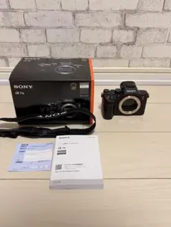 2026年最新】ソニーα7iiiの人気アイテム - メルカリ