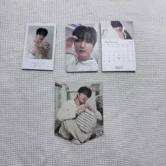 StrayKids チャンビン シーグリ トレカ ポラロイド JYP 特典