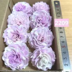 ソラフラワー　2209