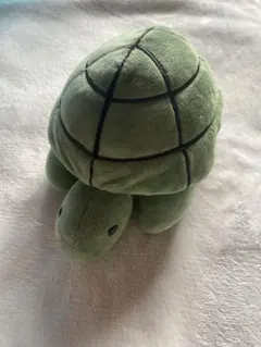 亀 ぬいぐるみ カメ　ミッフィー
