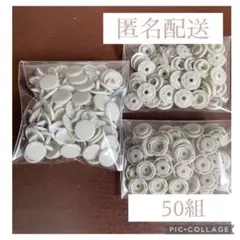【匿名配送】スナップボタン 12mm グレー　50組　激安　5