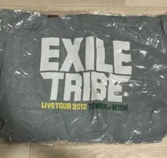 EXILE TRIBE TOWER OF WISH 2012 エコバッグ大