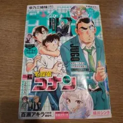 Item thumbnail for item 9ef59dc3-3ef3-4ee0-a26b-eee7f490a8e4